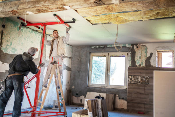 Best Commercial Insulation in Lone Jack, MO