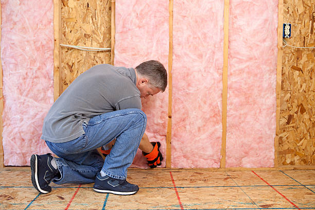 Best Specialty Insulation in Lone Jack, MO