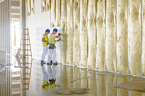 Professional Insulation Contractor in MO